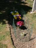 image of grave number 213587